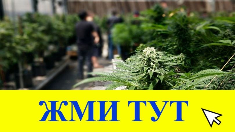 Купить наркотики в Кеми